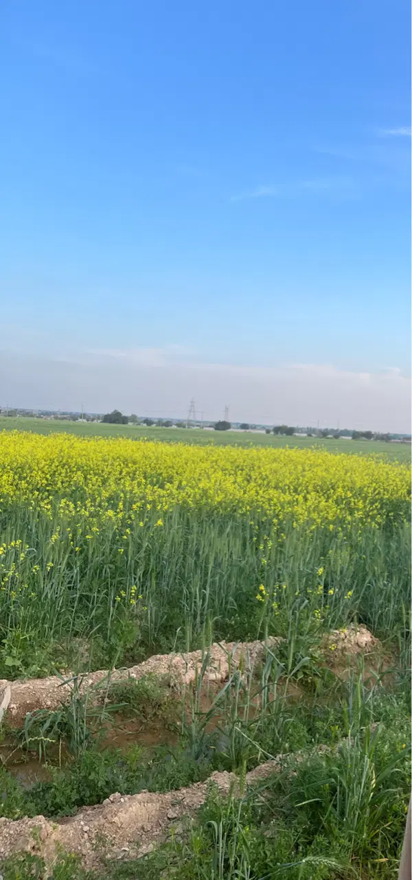 زمین رسول اباد