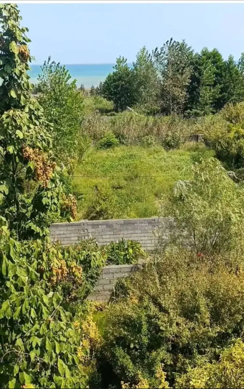 زمین ساحلی 271 متر کلاچای
