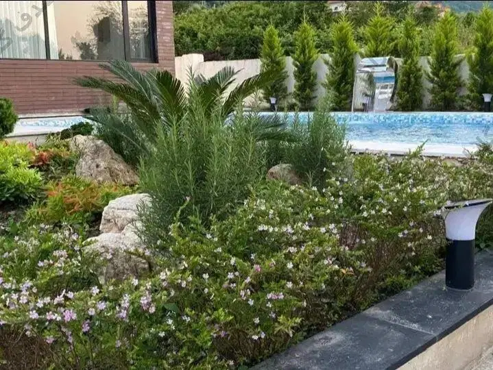 زمین نقنه
