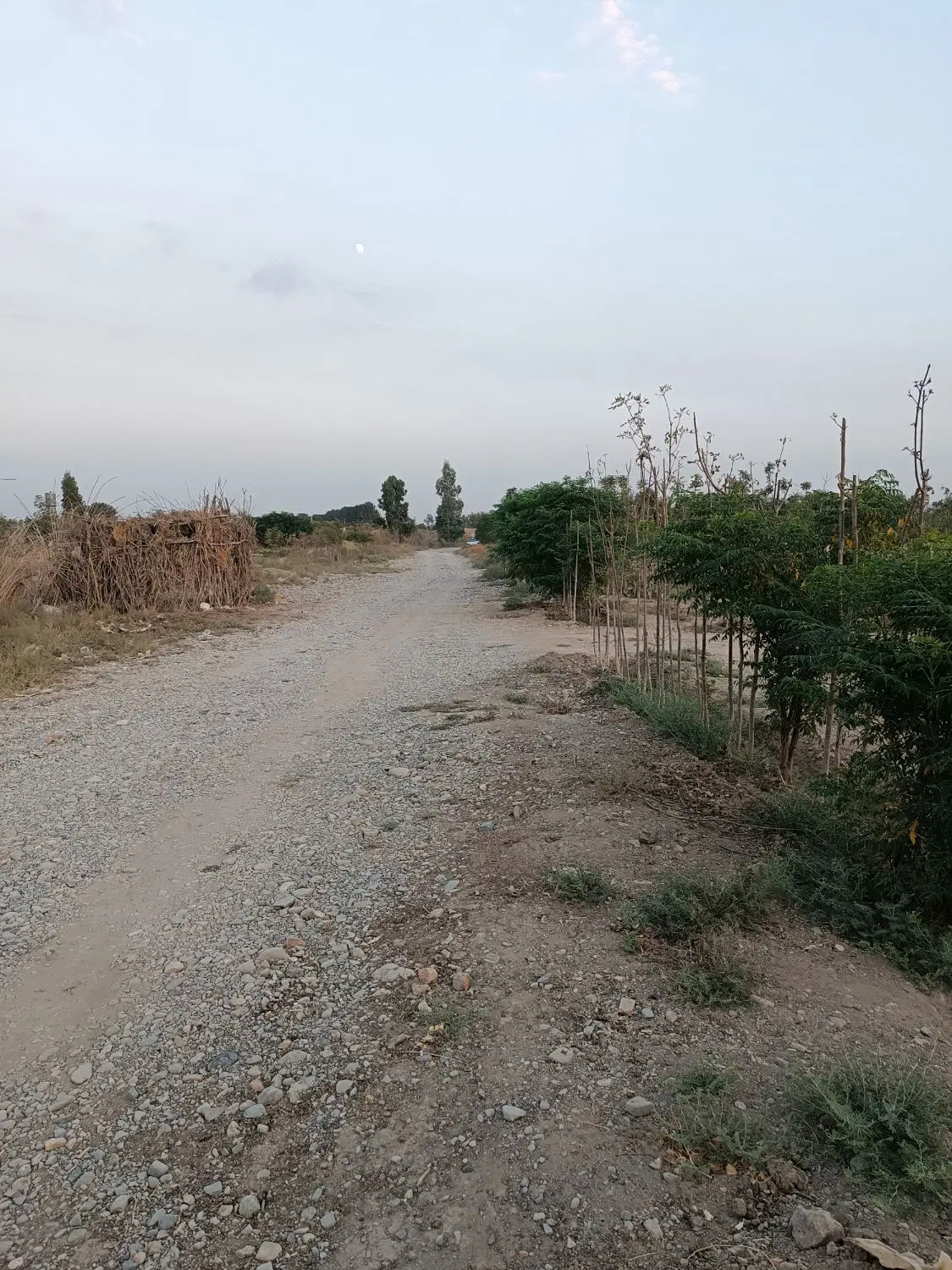 فروش زمین