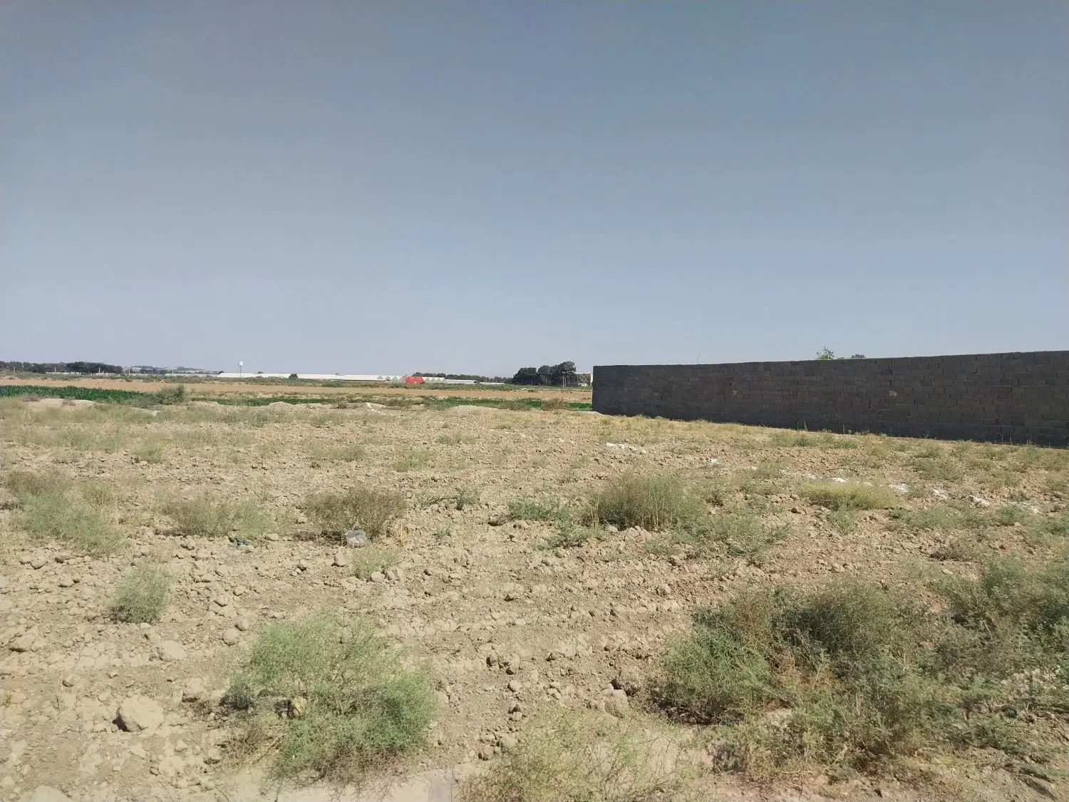 زمین مناسب باغو باغچه