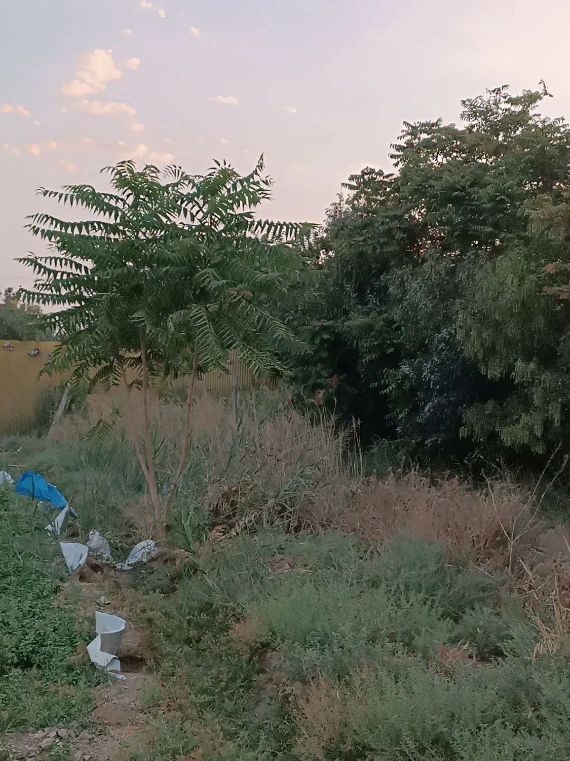 زمین فروشی