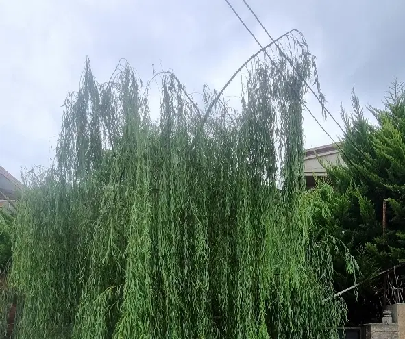 ۱۹۰ متر فشم سیاتونک میدان فشم