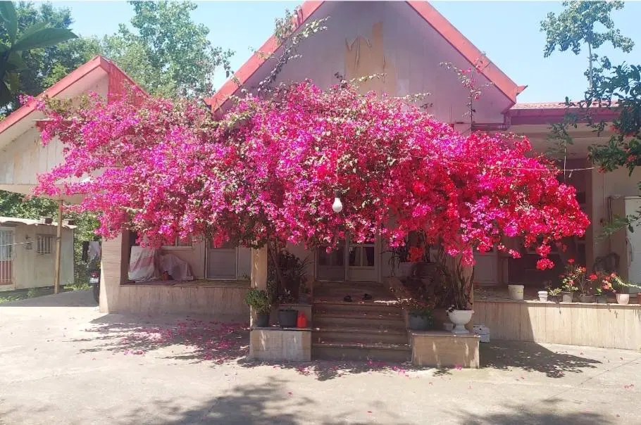 رشت ویلا باغ سندملکی تک برگ 20دقیقه ای رشت