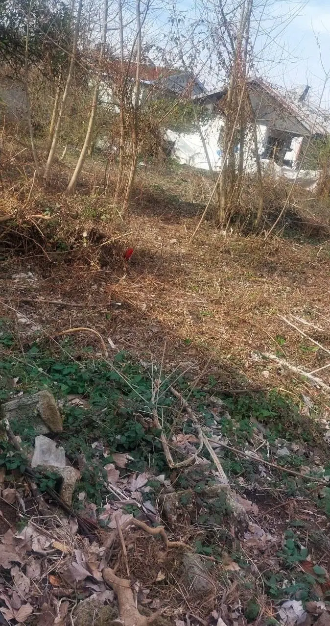 زمین باغ باغچه باکاربری( سندنسق زراعی)