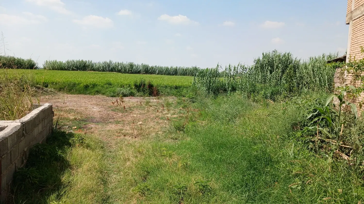 زمین مسکونی زینب آباد