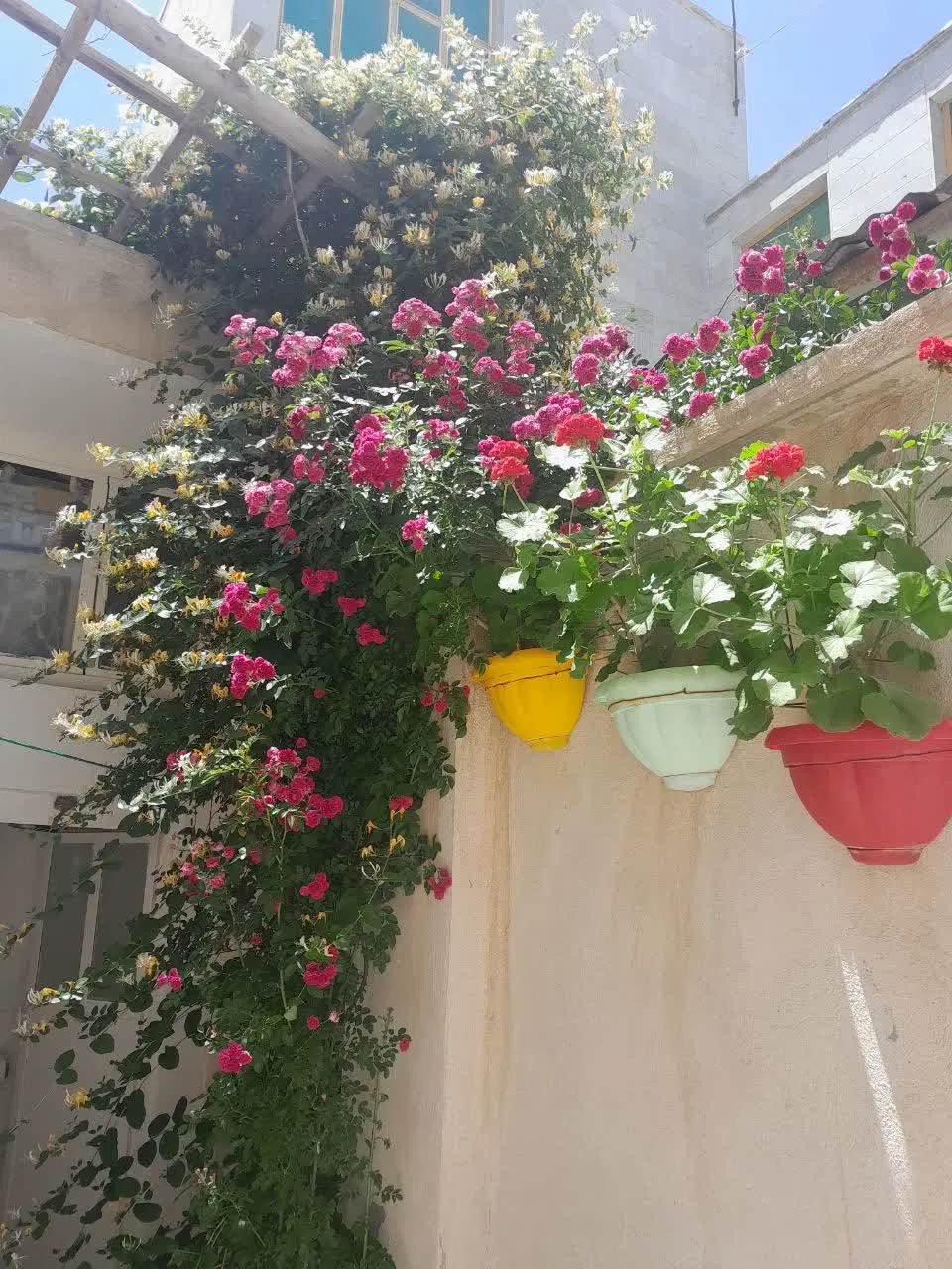 مستقل شنکش ۱۲ متری توحید
