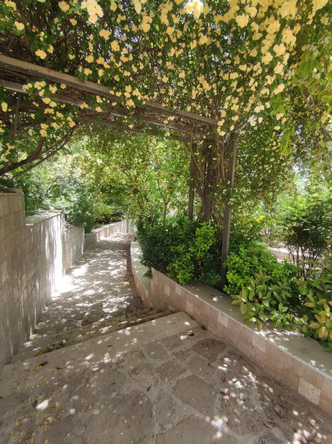 253 زمین مسکونی تجاری عرض 11 فاز 2 صدرا