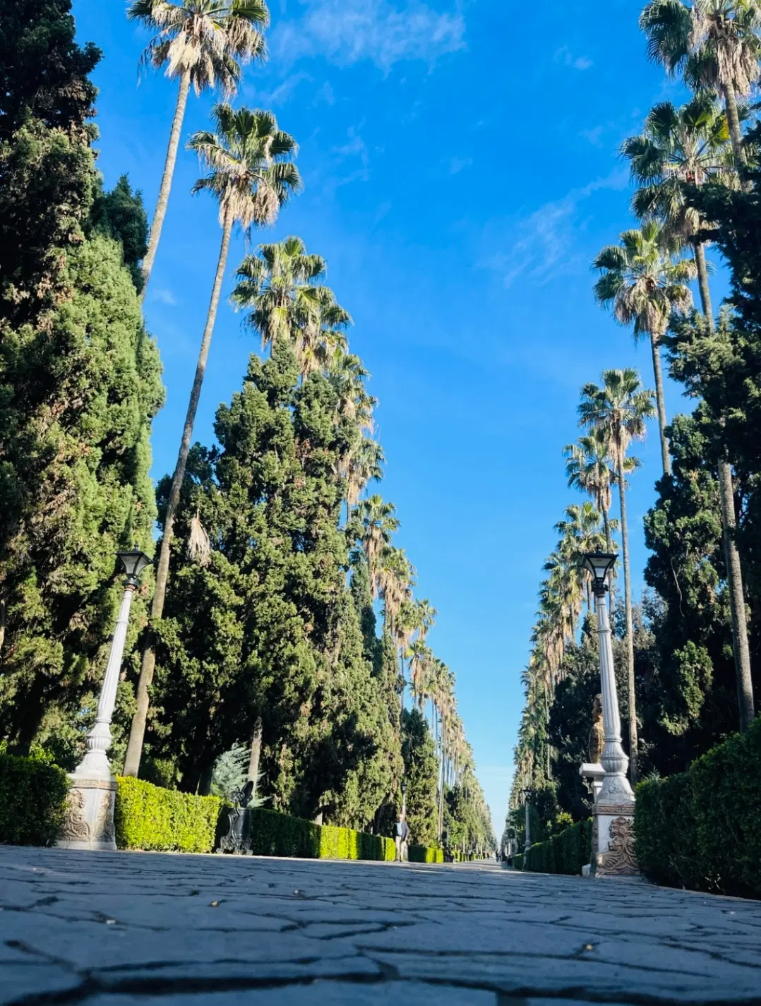 ۳۵۰ متر زمین(زیر قیمت)
