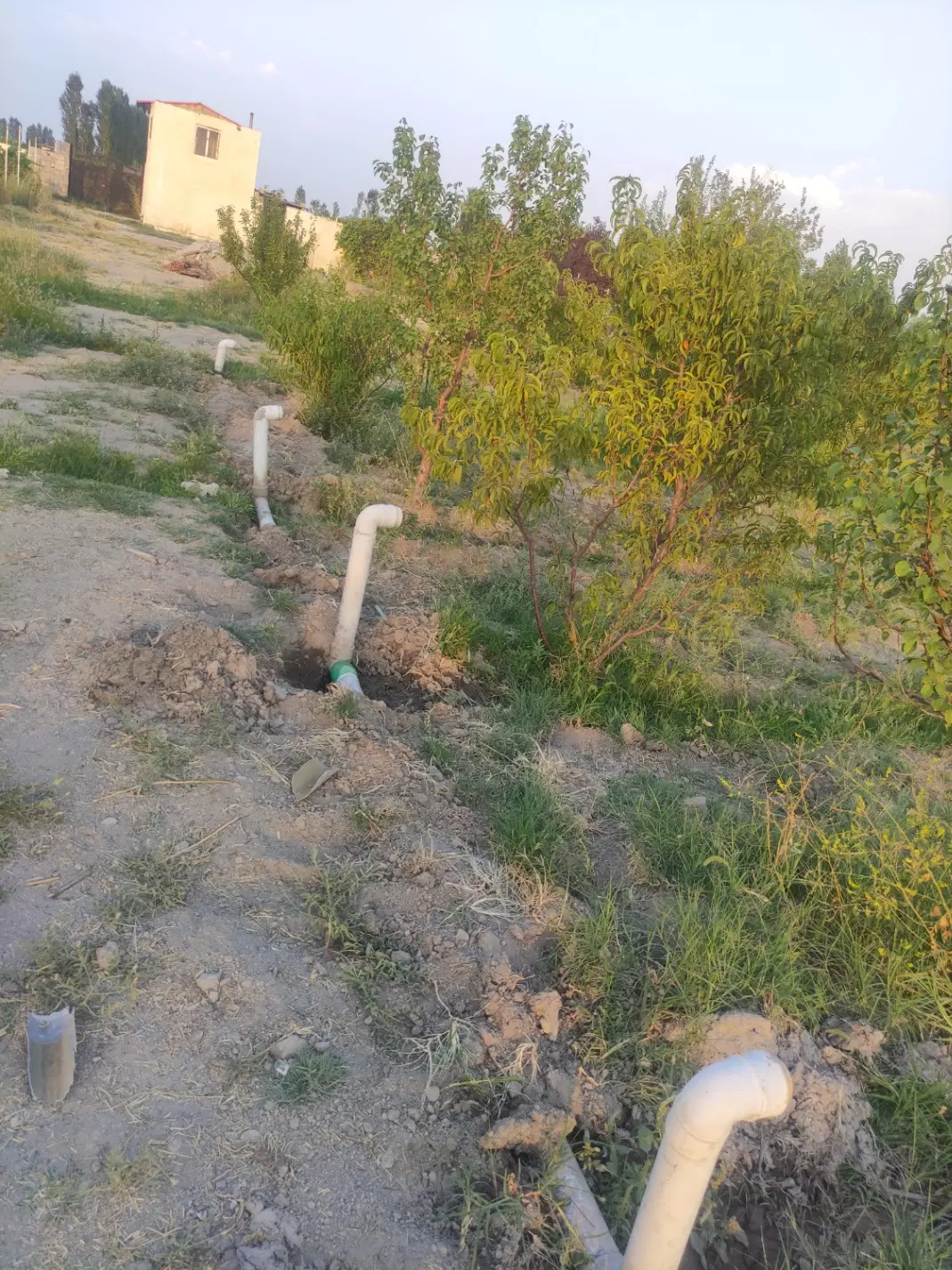 فروش باغ