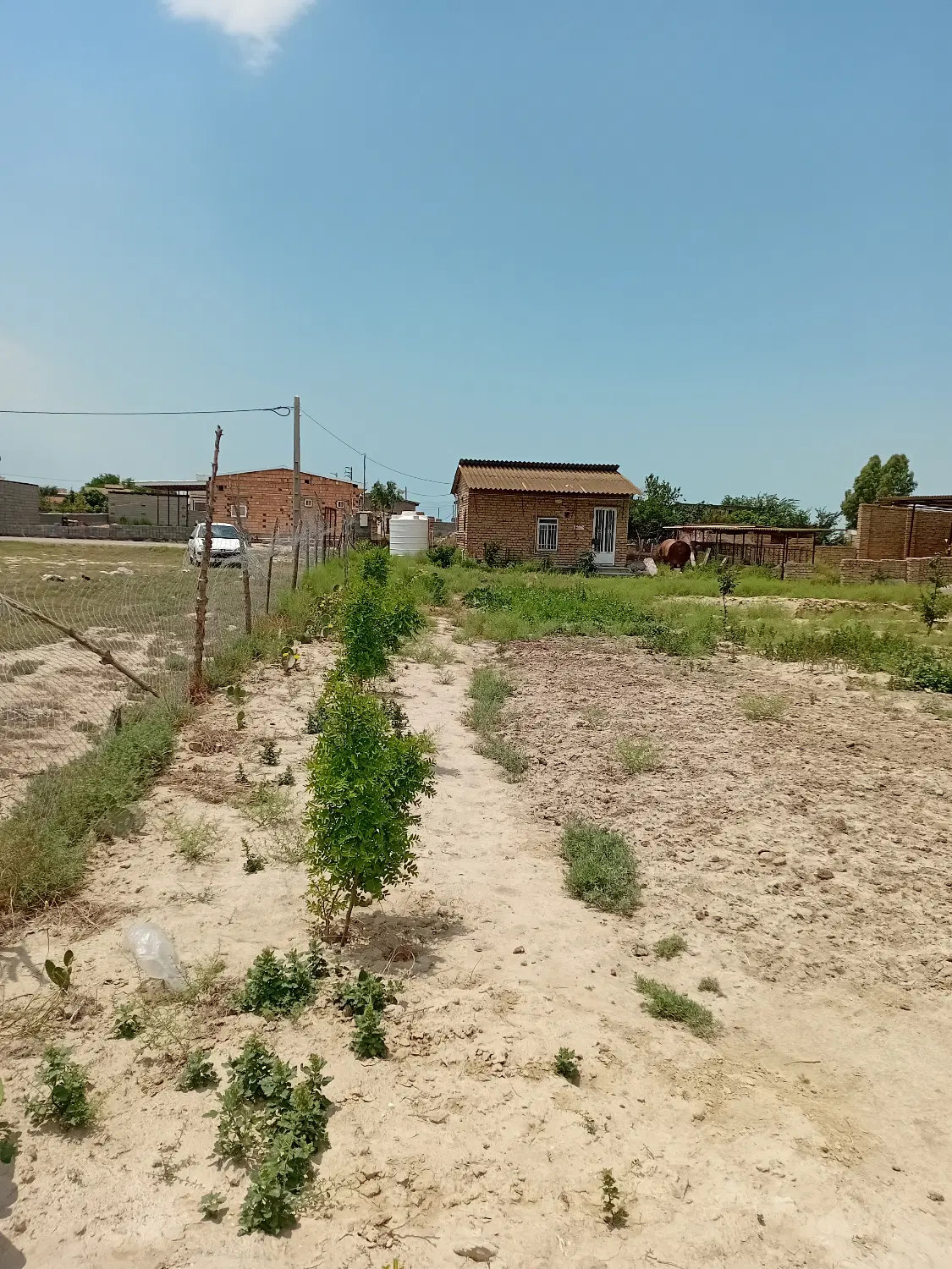زمین مسکونی درروستای صفاایشان گمیشان