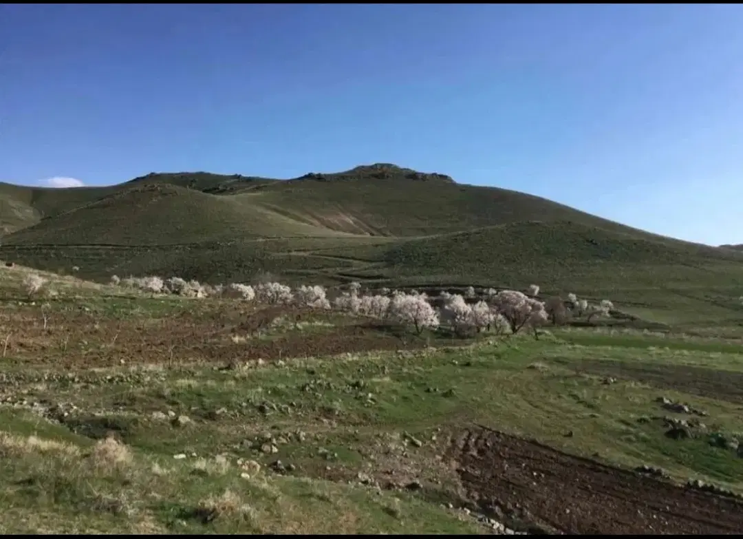 فروش زمین ۲۲۰ مترخالص،جاده تهم