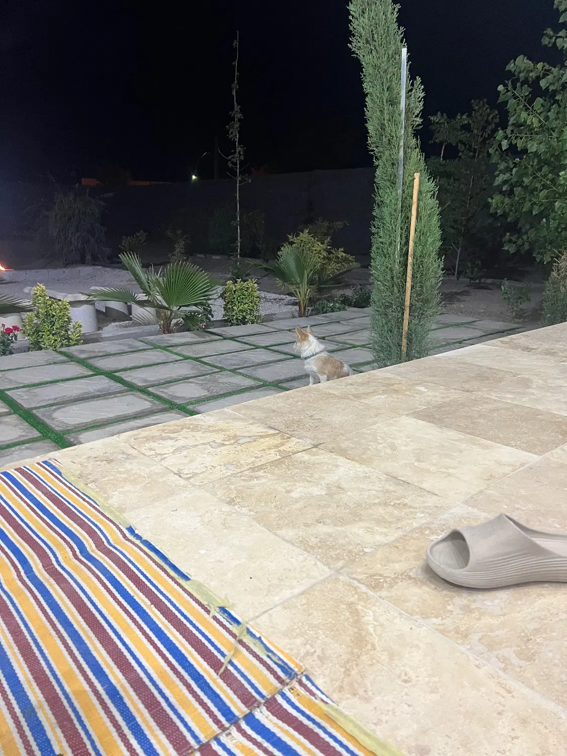 باغ ۶۰۰ متری خوش قیمت نیمه کاره