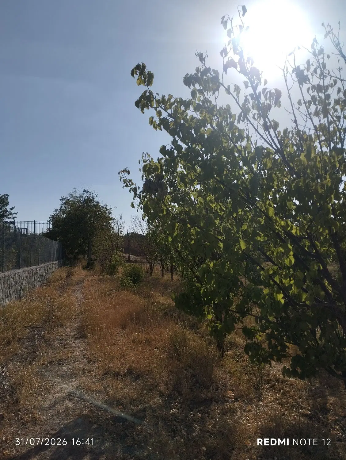 باغچه و زمین کشاورزی در دستجرد
