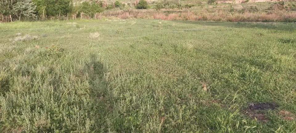 فروش زمین کشاور،ی
