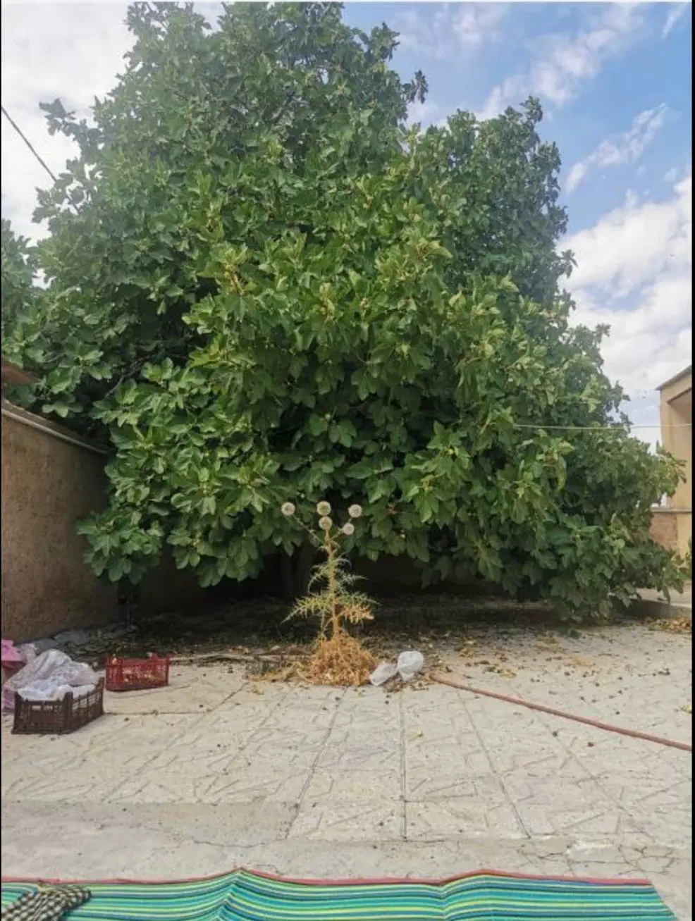 خانه ویلایی حومه مرودشت