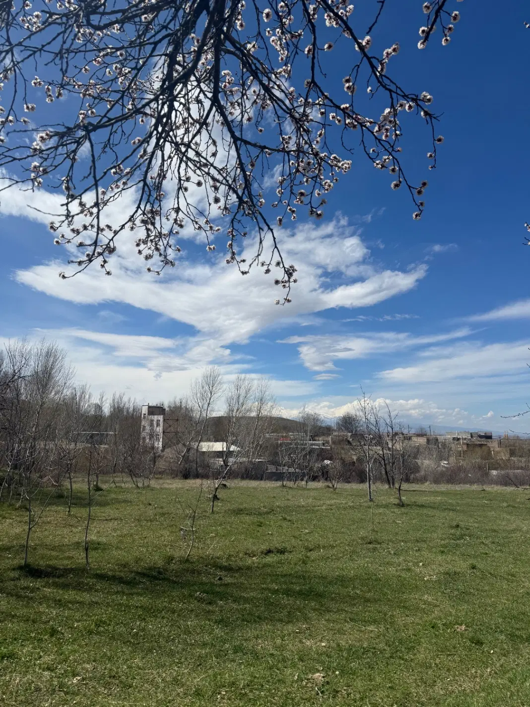 خانه ویلایی
