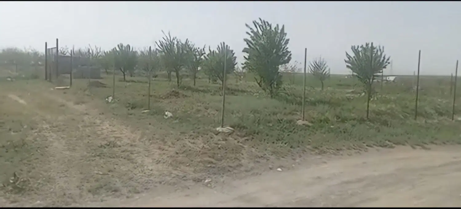 زمین کزنار