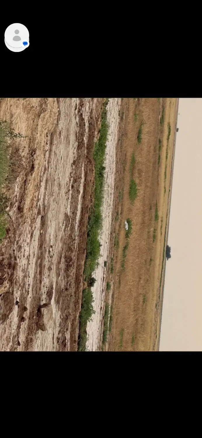 زمین خونه باغ