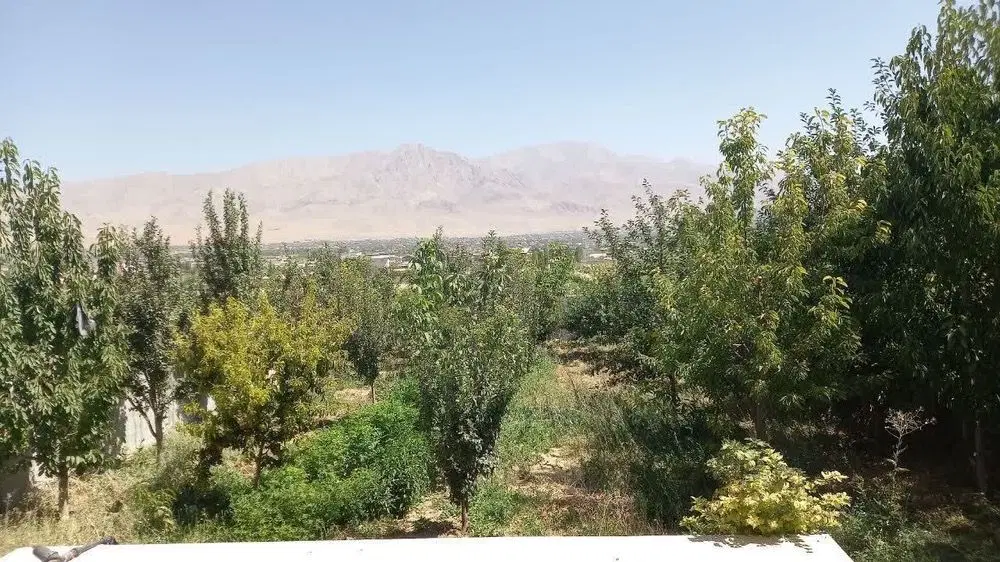 فروش ملک و زمین