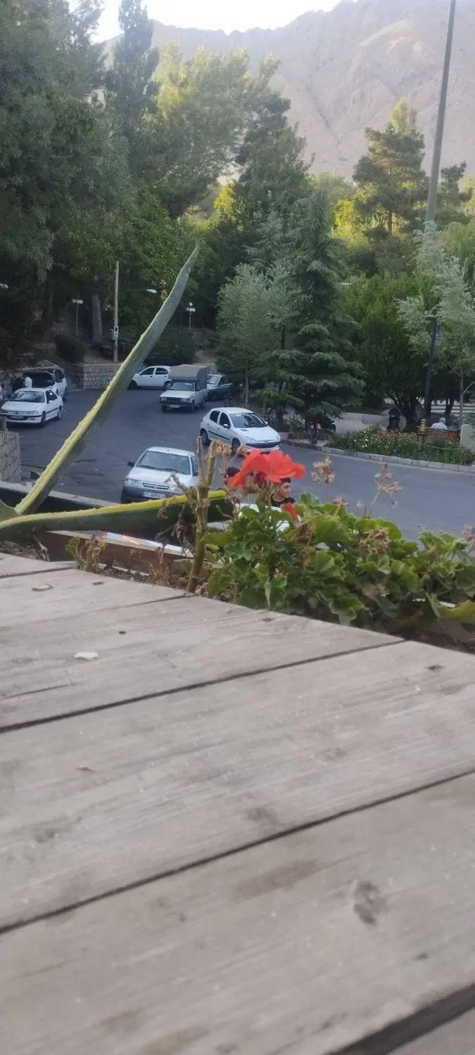 فروش زمین مسکونی 305 متری شهمیرزاد