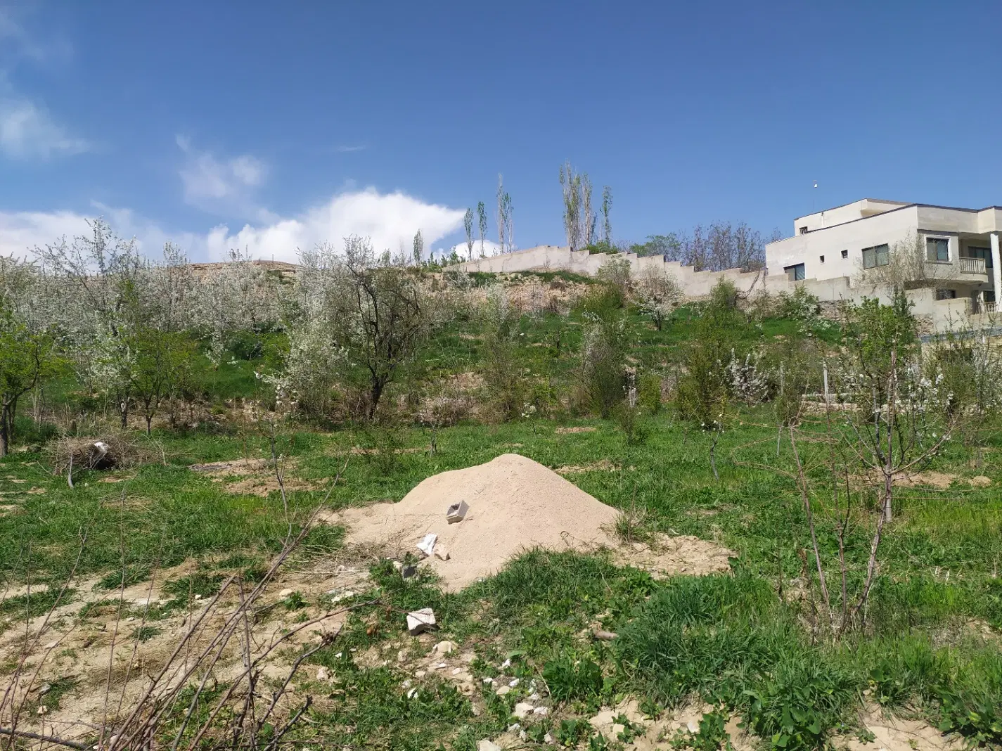 باغ فروشی بازخانه