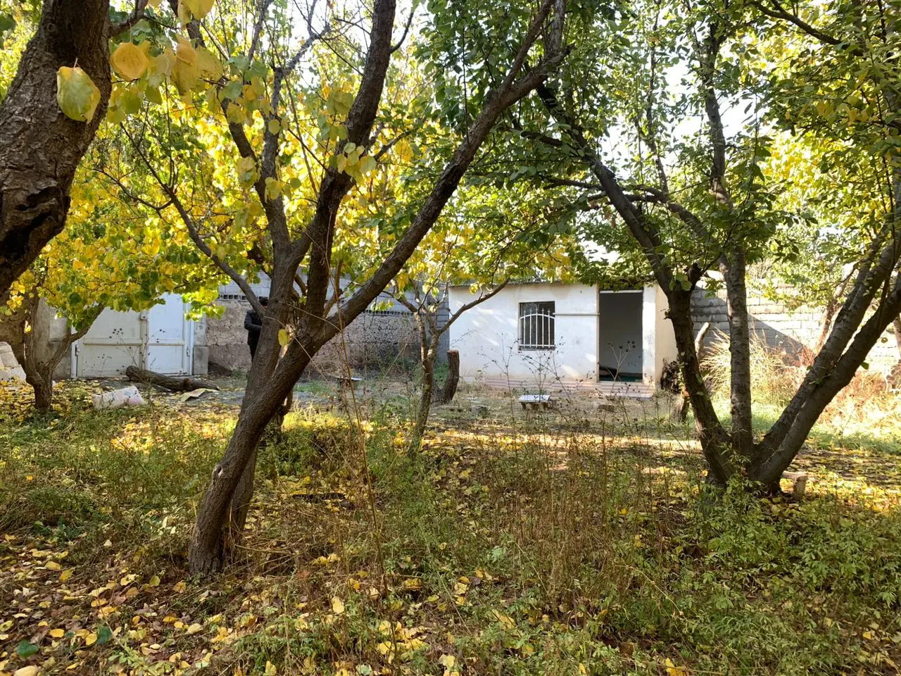 باغچه ۴ دیوار شهریار میدان نماز پگاه
