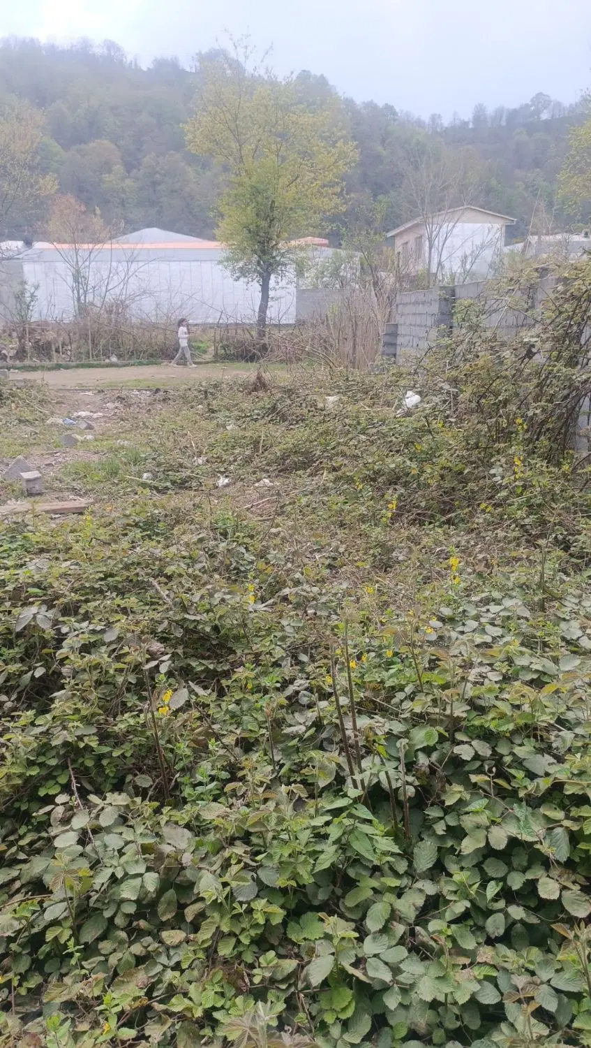 فروش زمین سوستان مسکونی