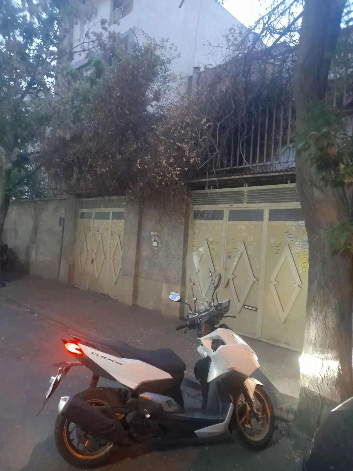 کلنگی۲۶۰متر