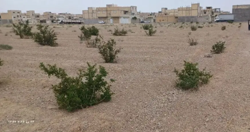 زمین باغی غرب  یزدانشهر