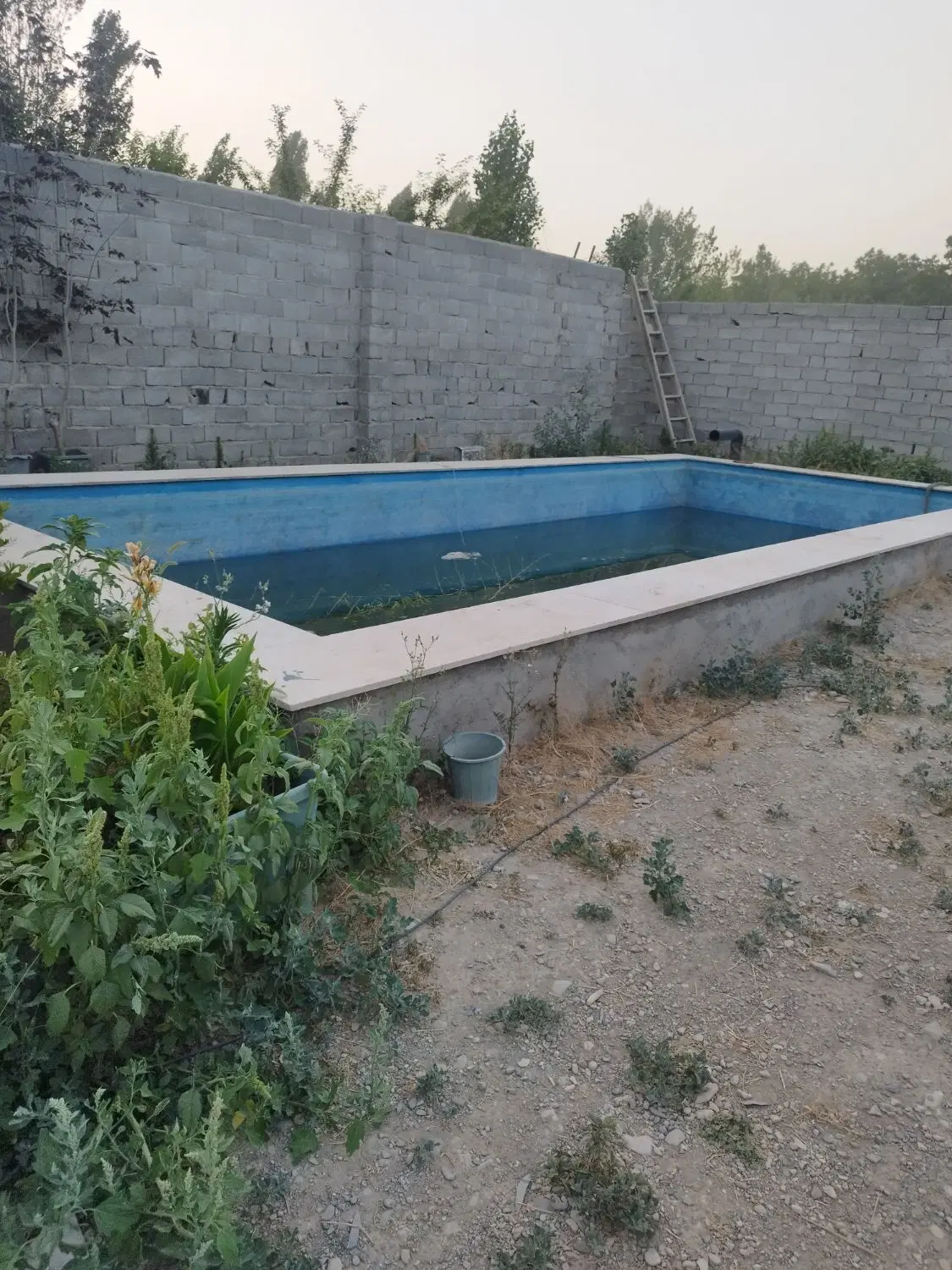 زمین