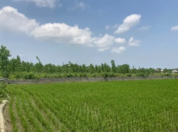 زمین مختص سرمایه‌گذاری