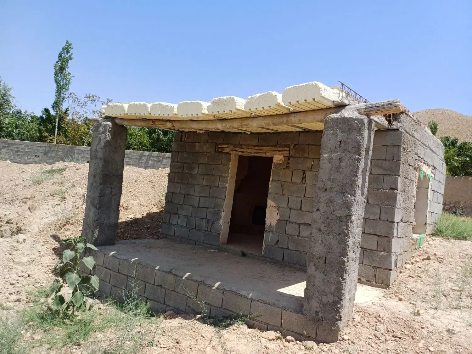 زمین مناسب باغ