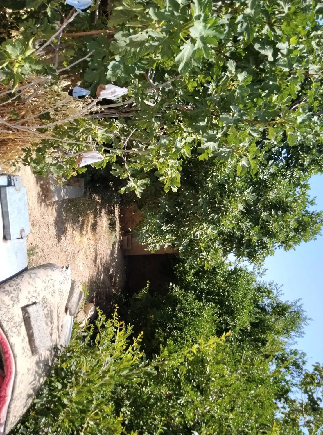 خانه مسکونی