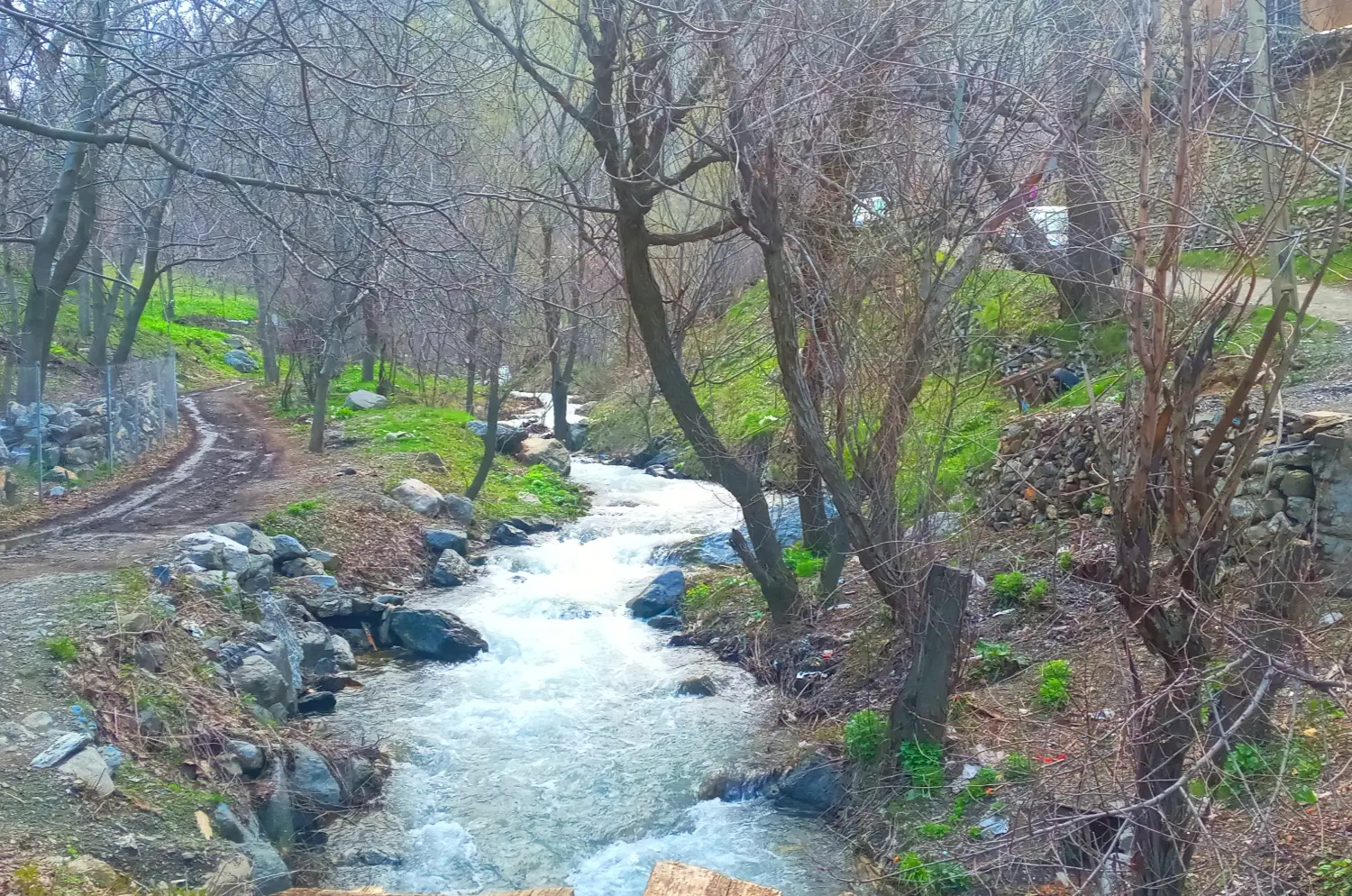 فروش زمین کشاورزی و خانه باغ