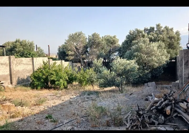 زمین مسکونی طلا