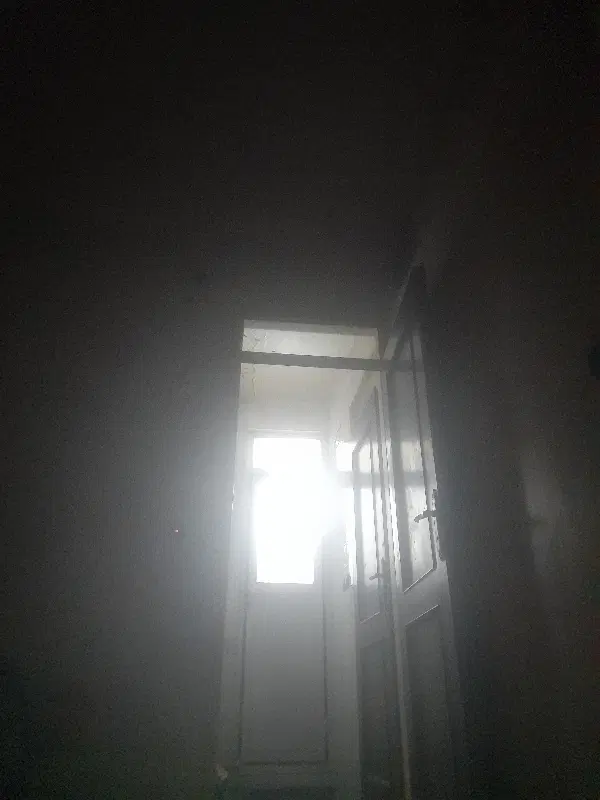 همخونه میشم