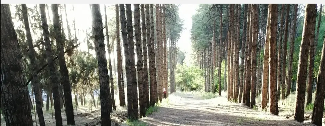 فروش زمین حسن آباد
