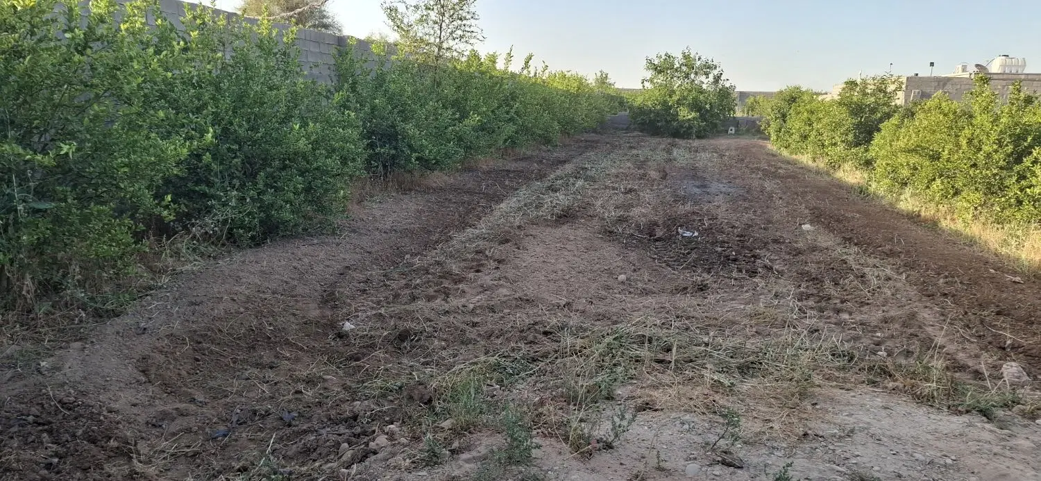 باغچه ۷۸۰ متری شمس آباد