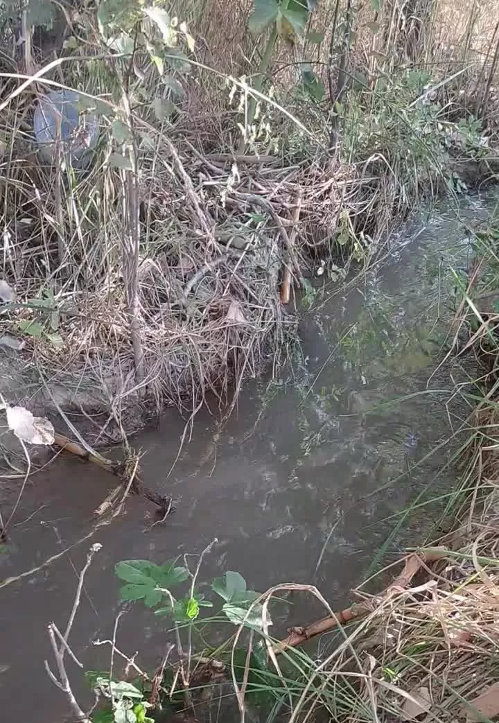 باغ میوه 1000متری روستای سعلکده (سرکتی)