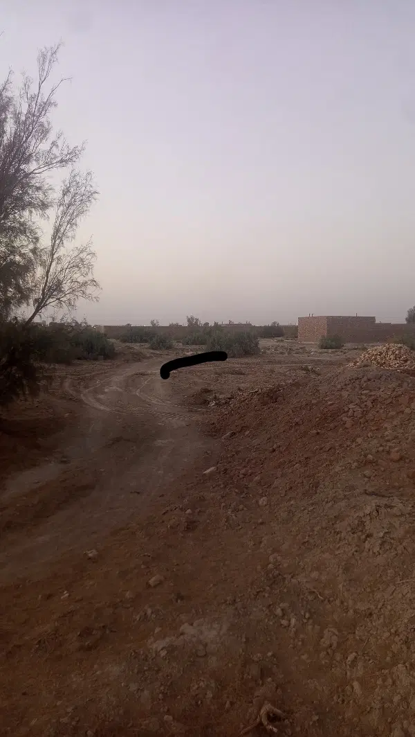 فروش زمین
