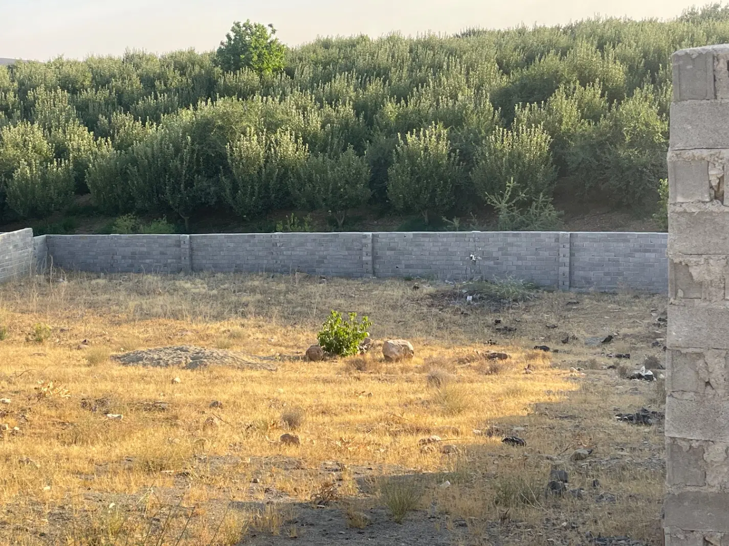 جابان 300 متر زمین چهار دیواری با درب حیاطی