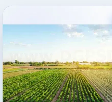 زمین باغشهری، کشاورزی و باغداری