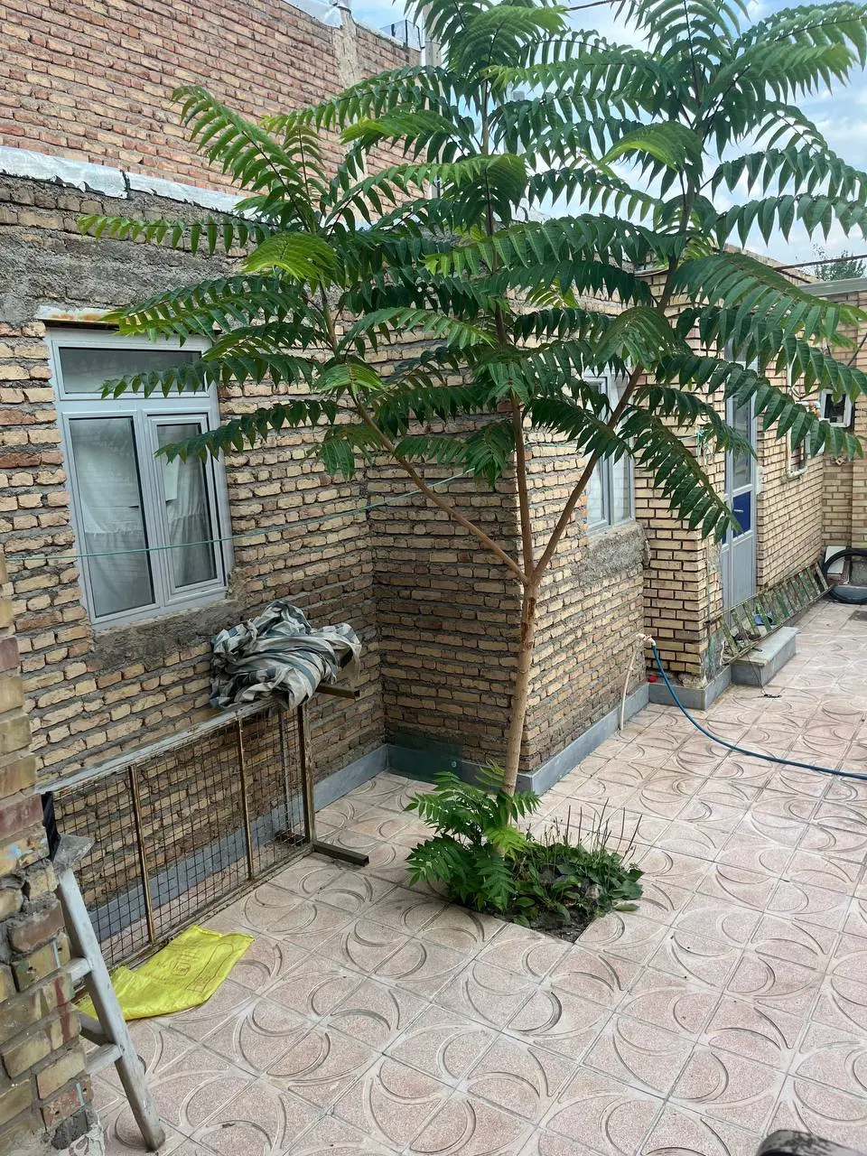 خانه فروشی