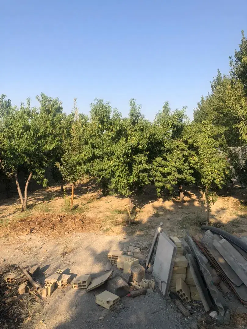 فروش باغ ۵۵۰ متری در خوشنام ،شهرکی