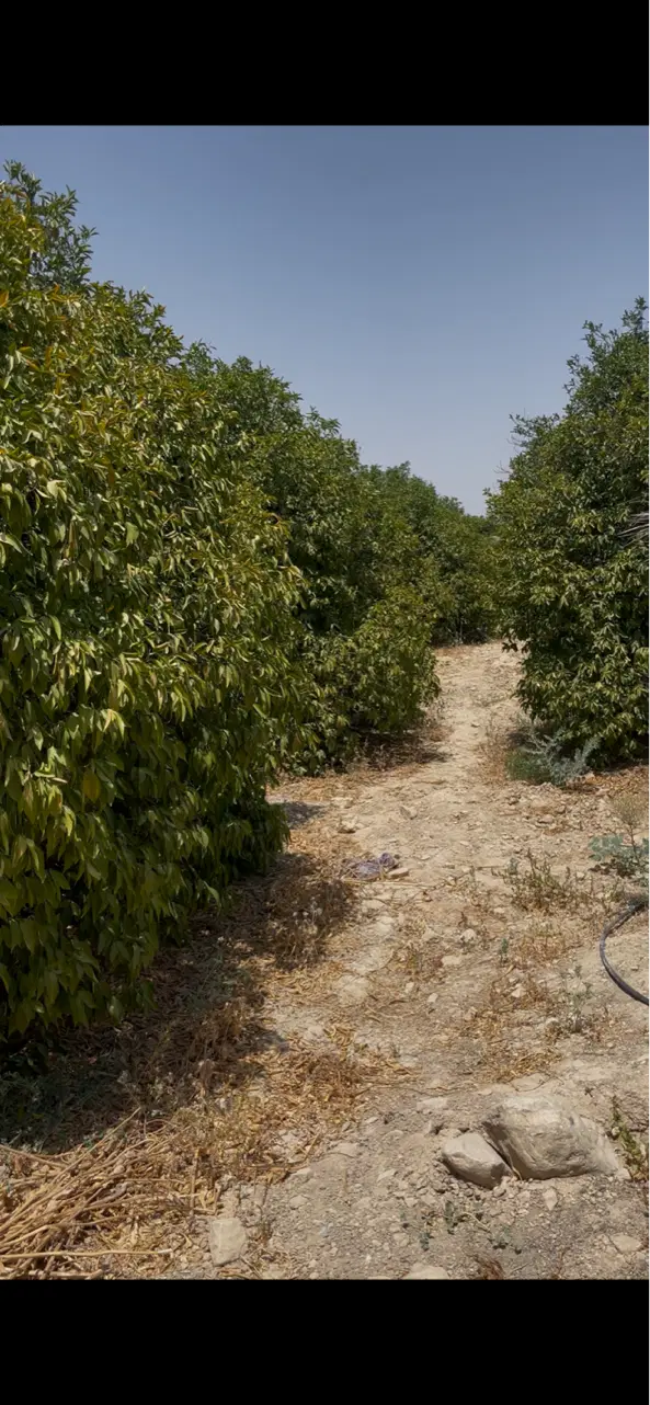 باغ دوهزارمتری پلیس راه