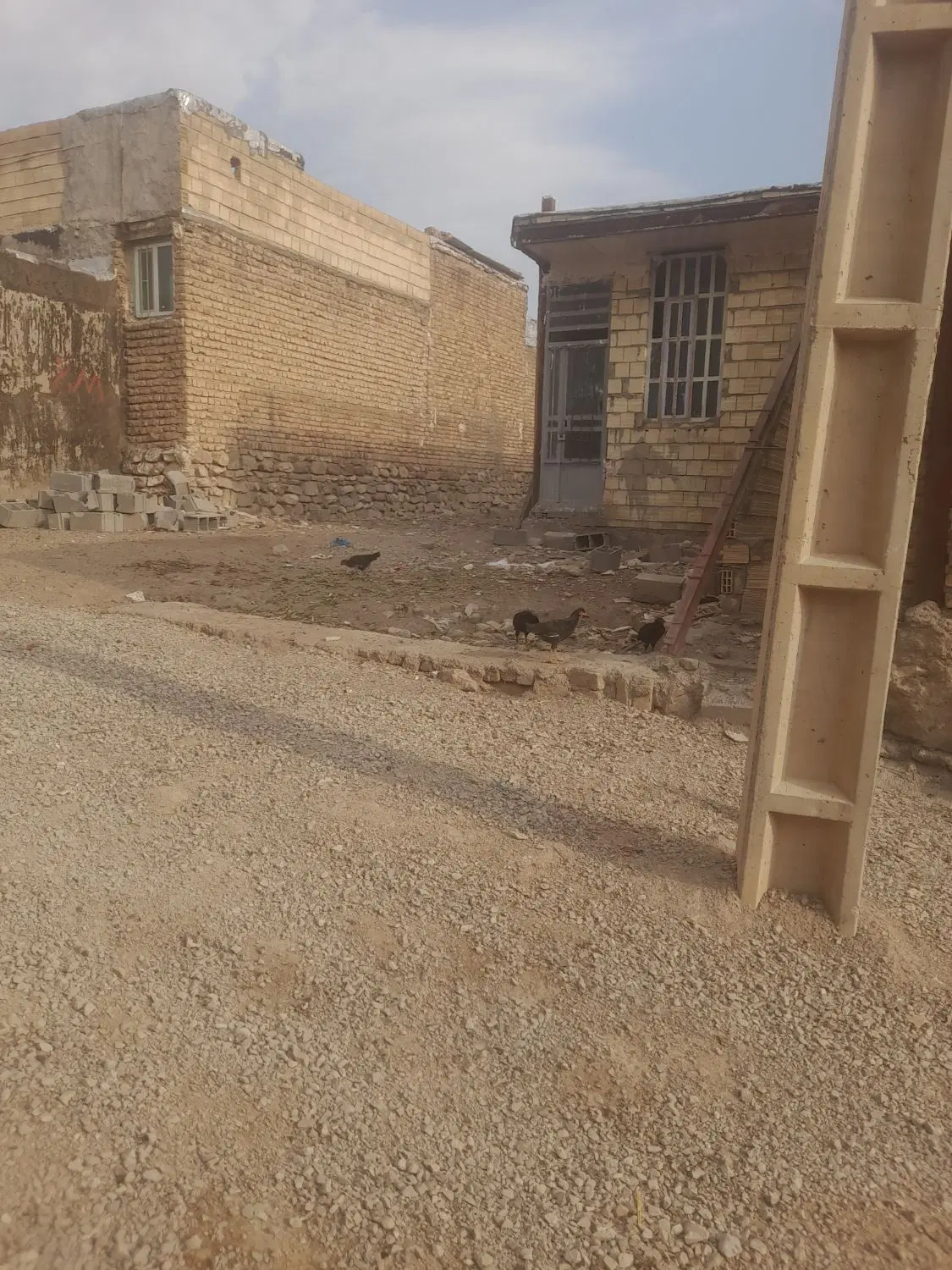 پایی خالدار زاگرس ۲
