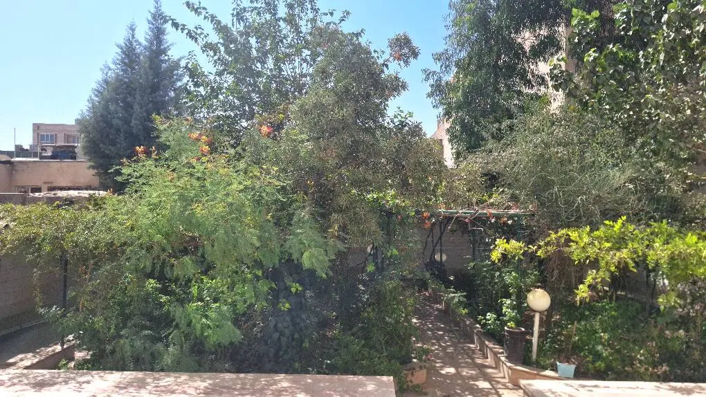 ۲۵۰ متر ویلایی شاخه اصلی