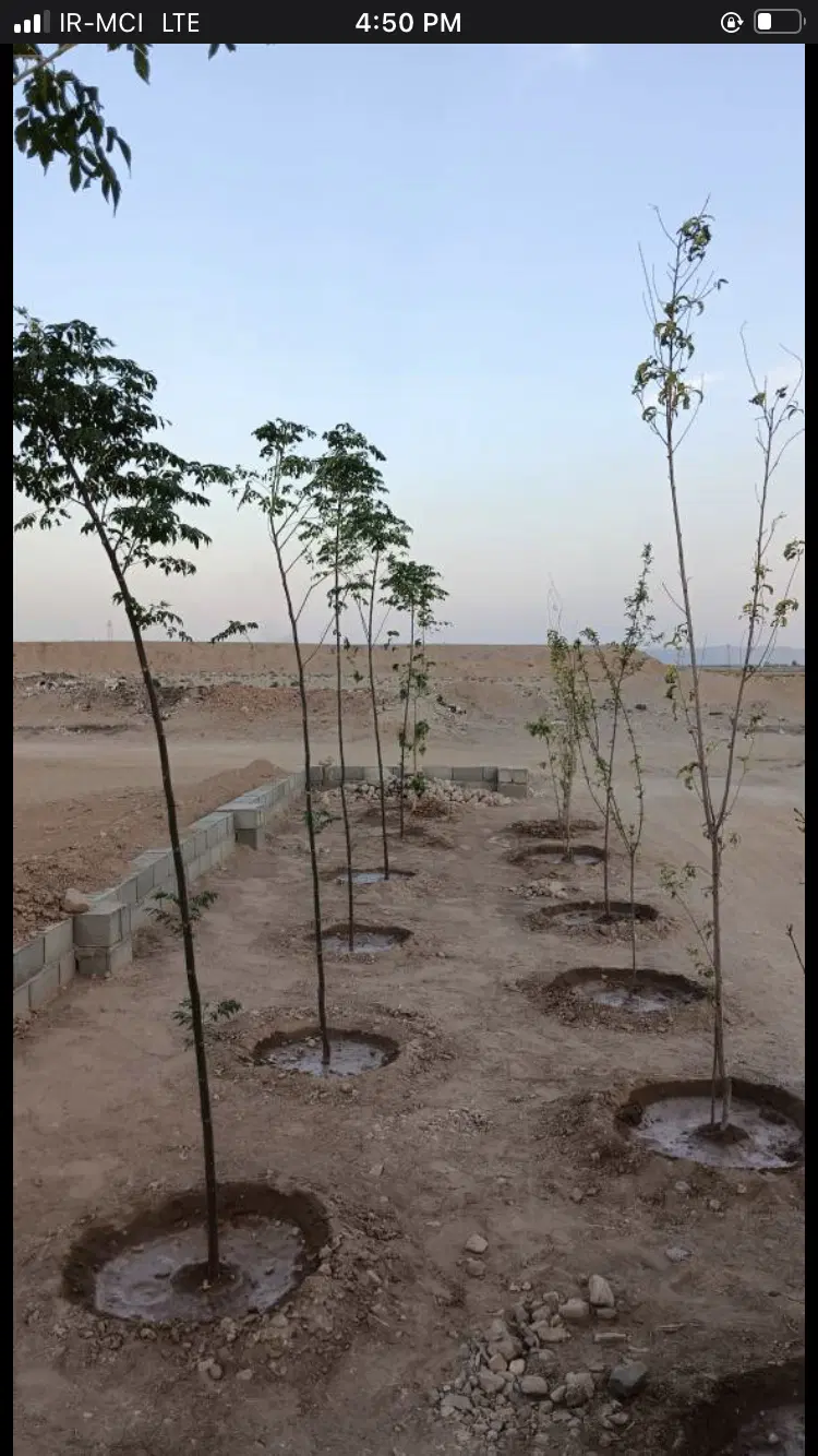 قطعات ۲۵۰ متری سنددار، فاصله ۲۰ کیلومتری تهران