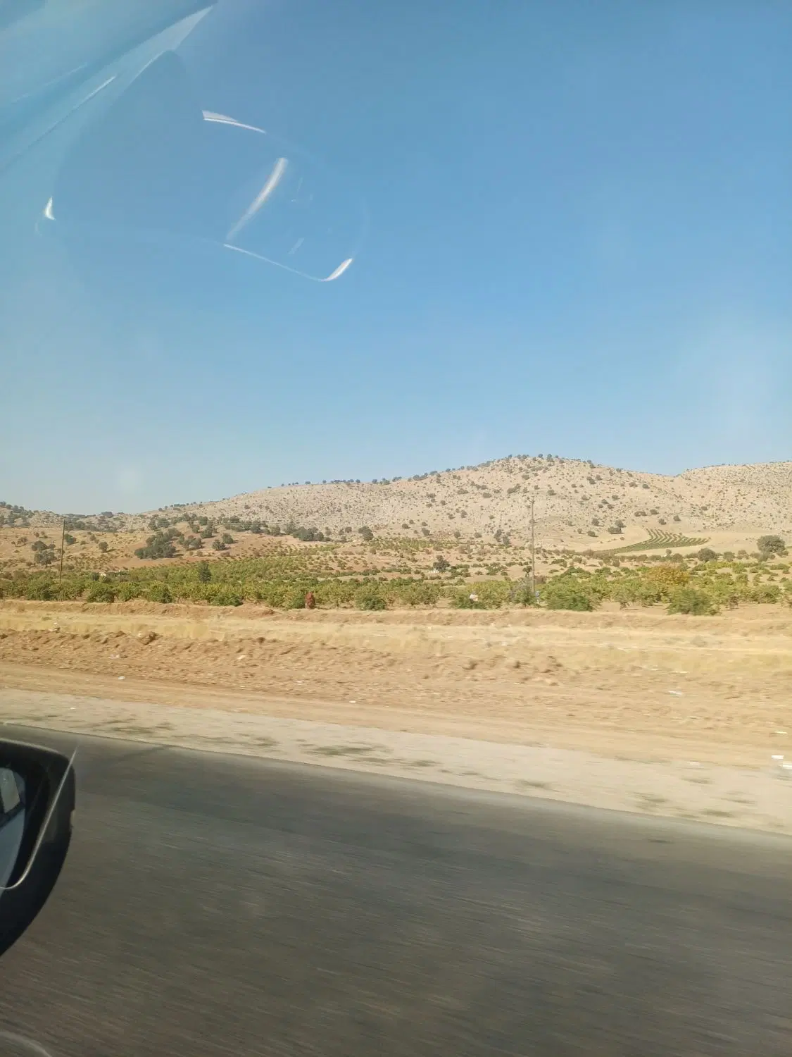 زمین فروشی الهیه جنوبی